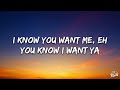 Pitbull - I Know You Want Me (Calle Ocho) (Lyrics)