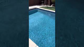 NPT Stonescapes Aqua White Mini pebbles
