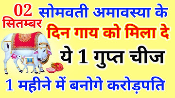 2 सितंबर 2024 सोमवती अमावस्या के दिन गाय को खिला दे ये एक गुप्त चीज सभी संकटों और कष्टों से मिलेगी