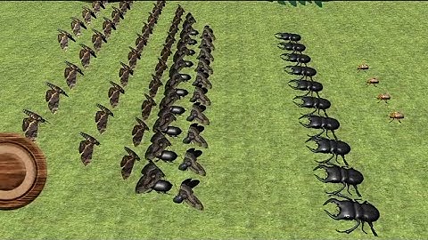 Bug Battle Simulator 3D | gameplay walkthrough part 6 | Red Chilli | android iOS