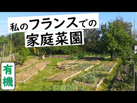 フランスでの有機家庭菜園で 楽しみましょう Youtube