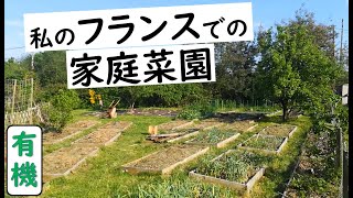 フランスでの有機家庭菜園で 楽しみましょう Youtube