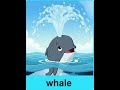 Learn About Whales for Kids 🐋 | Fun Ocean Animal Learning Video for Preschool &amp; Kindergarten