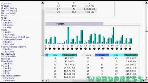 Video 12   How to Check Your Stats Using Awstats