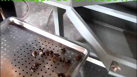 Video of cashew nut kernel and shell separator machine