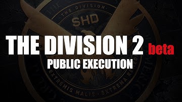 The Division 2 private beta open world PvE Public Execution