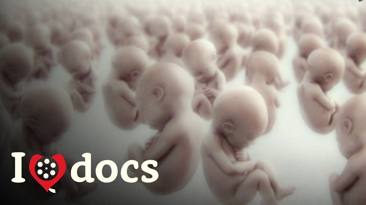 The Common Chemicals That Are Making Men Infertile - The Disappearing Male - Science Documentary