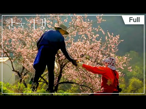 [Full] 한국기행 - 무릉도원 입성기 1부 <strong>저</strong> <strong>푸른</strong> <strong>초원</strong> 위에 20170515