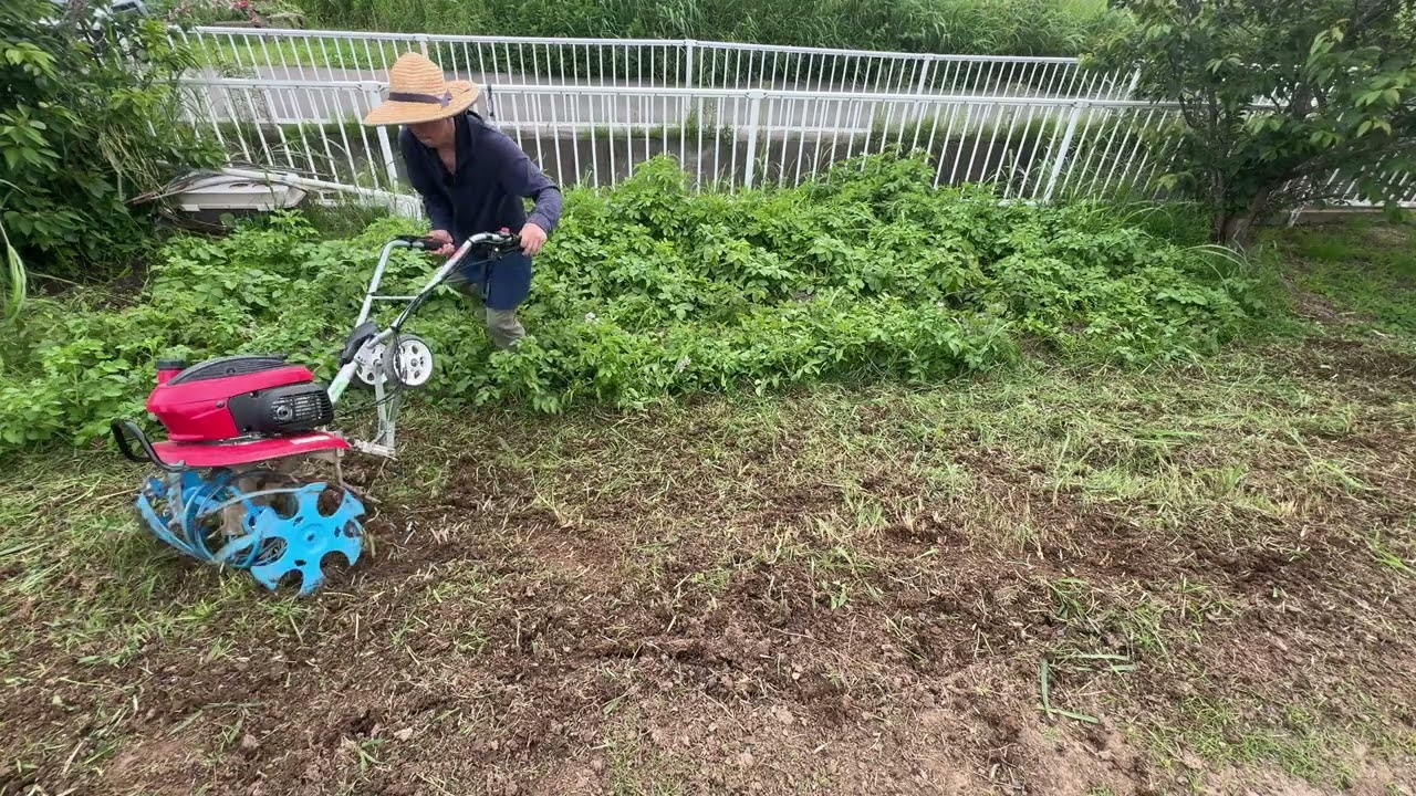 体がラクラク！簡単にが除草できる方法【ホンダこまめ耕運機ブルー