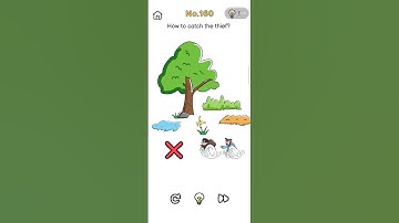 Brain Out - Level 160