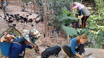 khawb qos, de zaub npuas, pub qaib pub npua tom teb