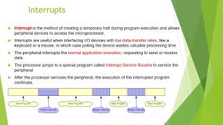 Celebrity CS305 CS IT Microprocessors&Microcontrollers Module 3 part 1 Profile