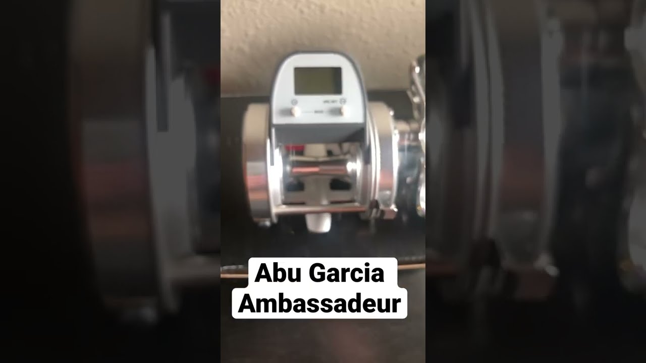 Abu Garcia Ambassadeur S LC Baitcast Reel Great Catfish Shorts