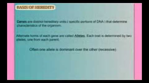 Genetics Part 1   Basic Mendelian
