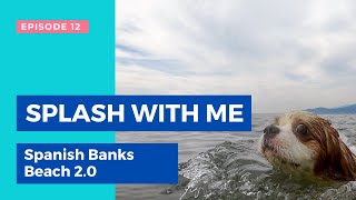 Dog Swimming in the Pacific Ocean | Ep. 12 Spanish Banks Beach, Vancouver, British Columbia by Tantissimo the Cavie 182 views 2 years ago 3 minutes, 31 seconds