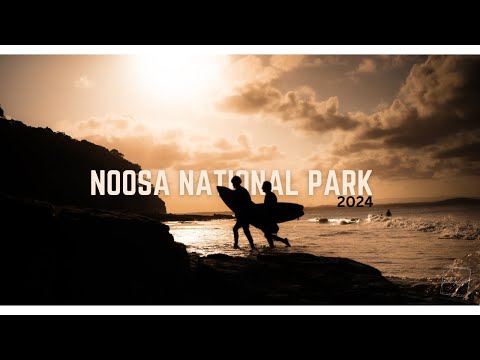 Noosa National Park 2024 - You'll never beleive what we saw!!!