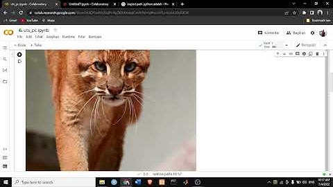Tugas Pengolahan citra.google colab