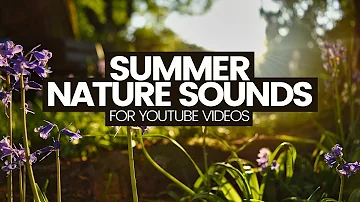 Nature Sound Effects For YouTube Videos (No copyright Royalty-free audio)