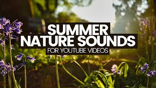 جلوه‌های صوتی طبیعت برای ویدیوهای YouTube (بدون صوت بدون حق چاپ)