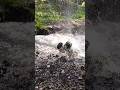RC Cars Splashing Through Water Like Bosses #rccars #offroad