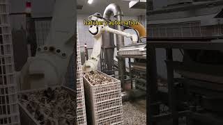 full automation for hatchery