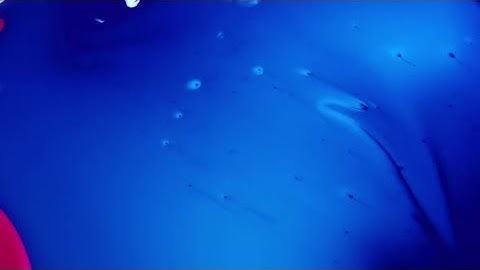 Blue Gradient Abstract Background Painting | Stock Footage - Videohive