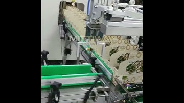 Tray former tray erector work with tray box filling machine and box closing machine packaging line