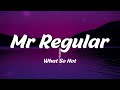 What So Not Mr Regular Lyrics mp3