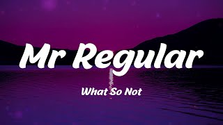 What So Not - Mr Regular (Lyrics)