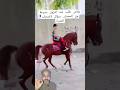حد يعرف هو ليه جري عليه وعمل كدة