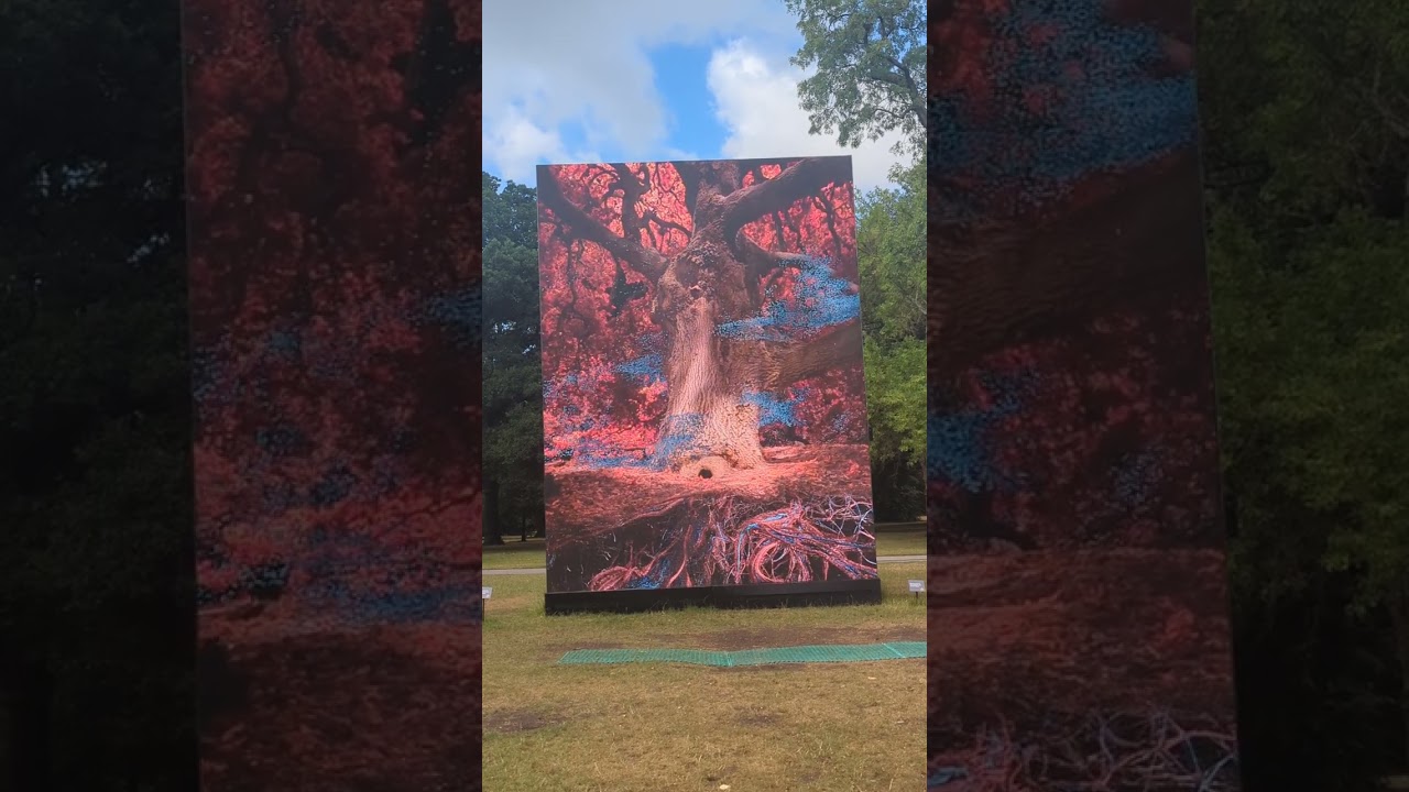 Of the Oak by Marshmallow Laser Feast