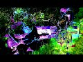 Fretless Garden