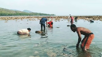 Tradisi Tangkap Ikan Pakai Tangan Kosong yang Unik di Flotim