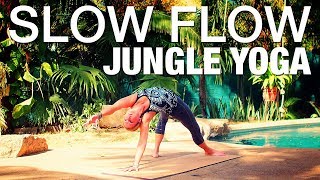 Slow Flow Jungle Yoga Class - Five Parks Yoga