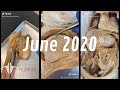 Human Anatomy TikTok Compilation | June 2020 | Institute of Human Anatomy