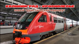 Поезд &quot;Калининград - Краснолесье&quot;. Новый туристический маршрут от КППК