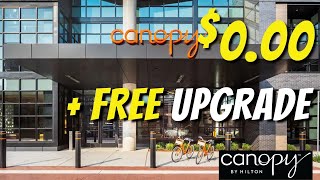 😍 Canopy Hilton Room Tour - $0 + FREE Upgrade! Plus BONUS TIP 😍