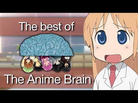 The Anime Brain - YouTube