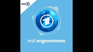 Niemand macht mehr Politik? Was dann? | mal angenommen  tagesschauPodcast