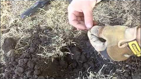 Metal Detecting Silver with Tejas!!!