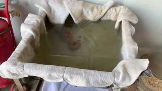 Information Fish pond made by GCLs bentonite clay liner- two months later News