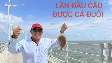 67 - LẦN ĐẦU CÂU CÁ Ở ĐIỆN GIÓ HOÀ BÌNH 1 CẢNH BIỂN ĐẸP TUYỆT VỜI 