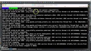 Deploy Spring MVC application on Openshift