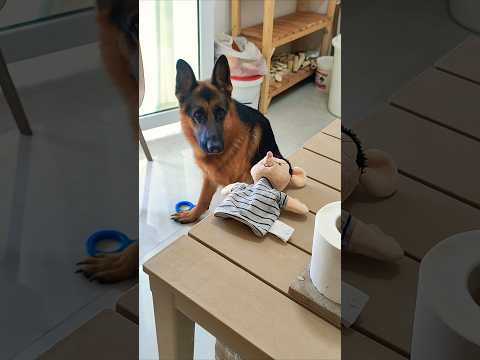 استاد دلبریه ولی من باید مقاومت کنم    