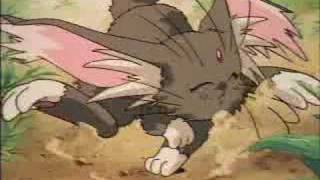 AMV - Weird Al Yankovic - Harey the wonder hamster
