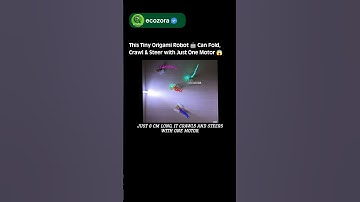 Origami Robot Folds Itself & Crawls with ONE Motor 😱 | CurveQuad #robotics #origami #tech #science