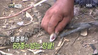 정글의법칙 130726 #20(2)