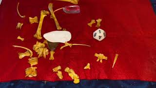 Bone Reading December 2020