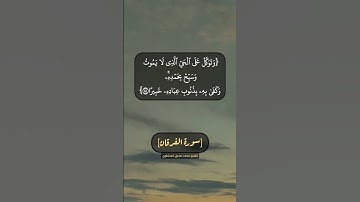 سورة الفرقان الآية ٥٧ الى ٦٠ بصوت الشيخ محمد صديق المنشاوي