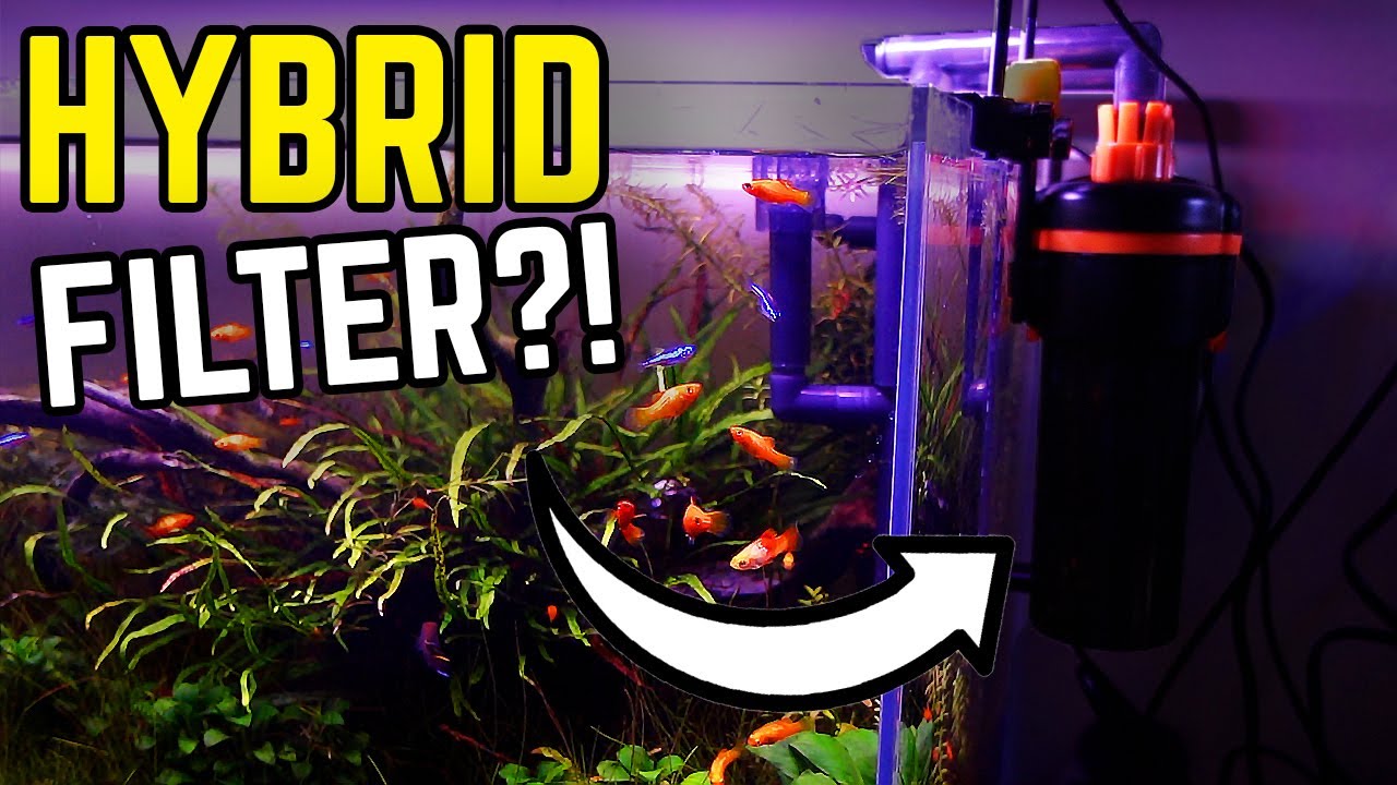 Aquarium Filtration Just Levelled Up With This HYBRID Aquarium Filter!